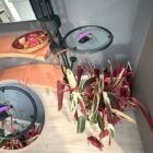 Ingresso Porada 4 Mensola in vetro tonda con chiavi appoggiate